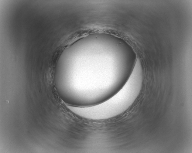 X0000069401157200605121016