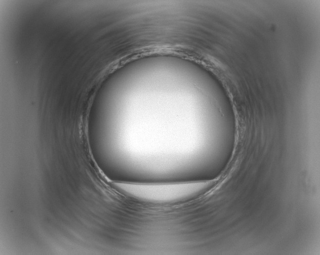 X0000069401161200605121016