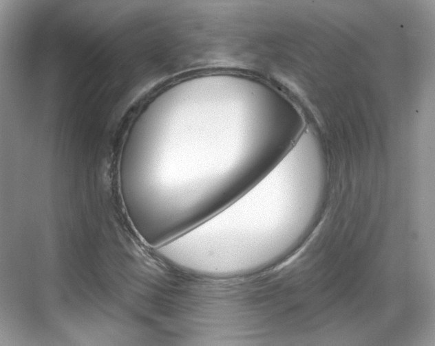 X0000069401163200605121016