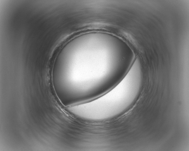 X0000069401164200605121016