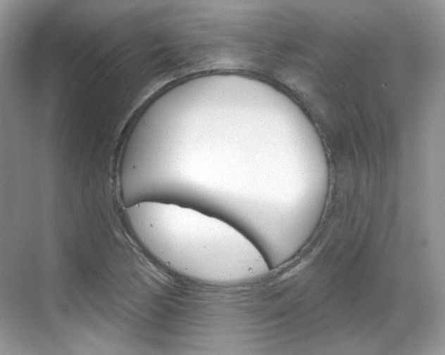 X0000069401170200605121015
