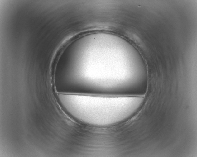 X0000069401172200605121015