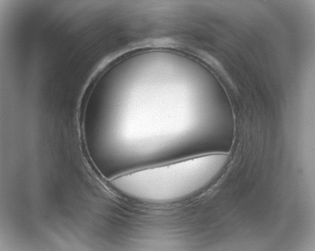X0000069401176200605121015