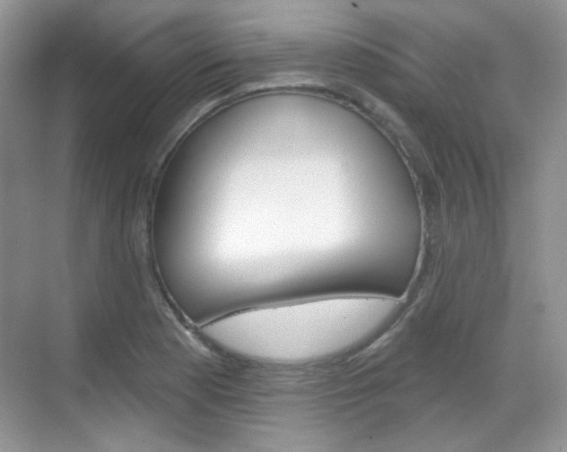 X0000069401177200605121015