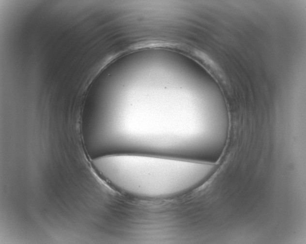 X0000069401185200605121015