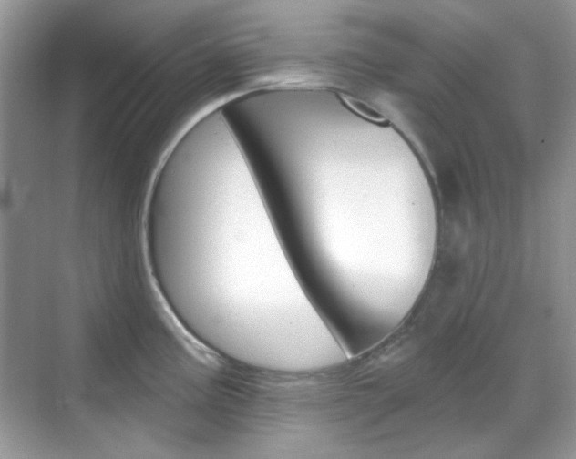 X0000069401195200605121015