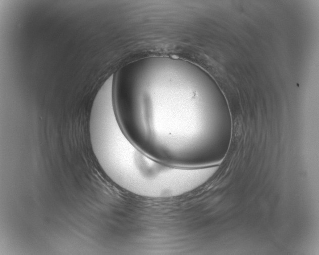 X0000069401202200605121014