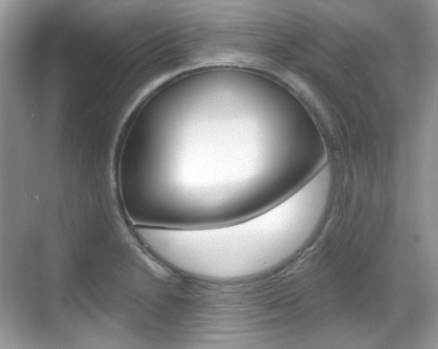 X0000069401230200605121015