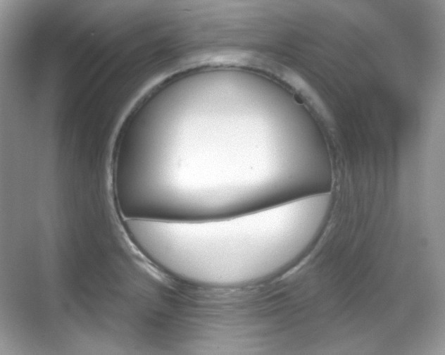 X0000069401232200605121015