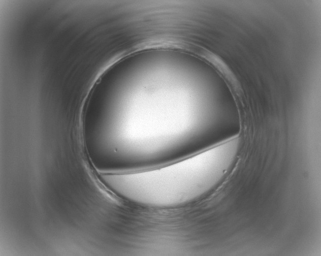 X0000069401242200605121015