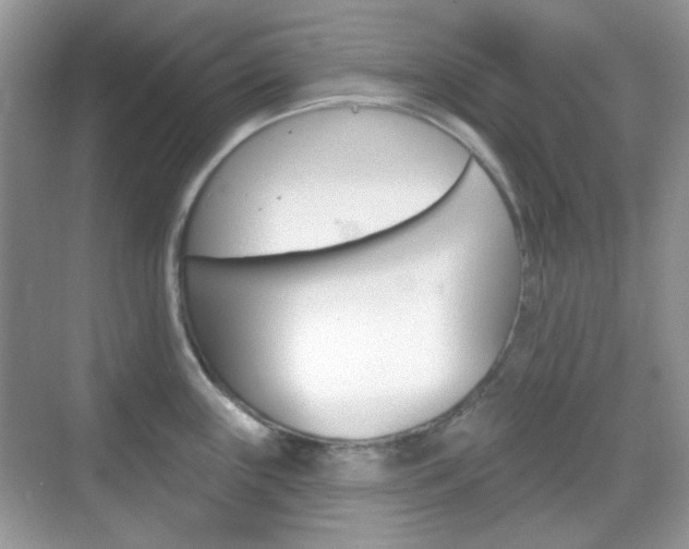 X0000069401243200605121015