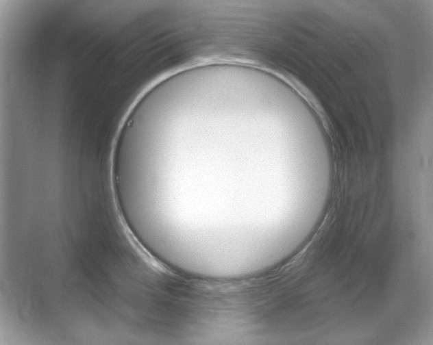 X0000069401246200605121015