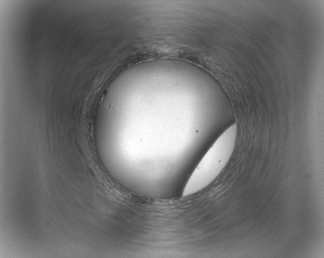 X0000069401249200605121014