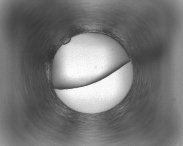 X0000069401251200605121014