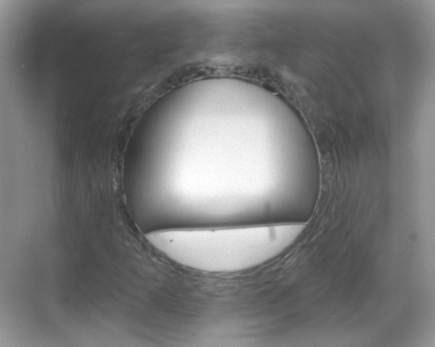 X0000069401253200605121014