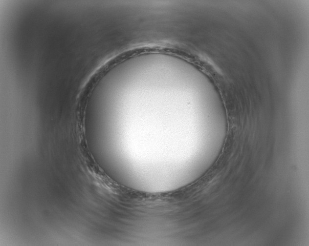X0000069401256200605121014