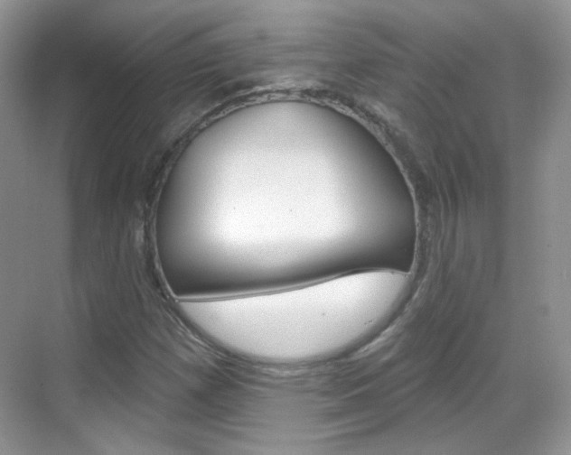 X0000069401257200605121014