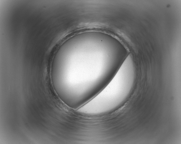 X0000069401261200605121014
