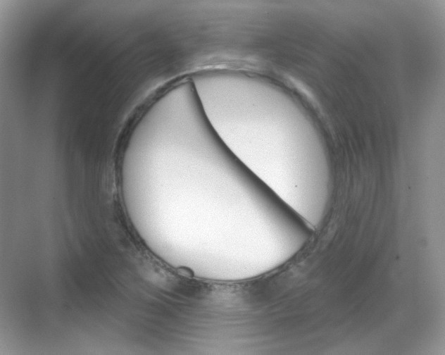 X0000069401267200605121014
