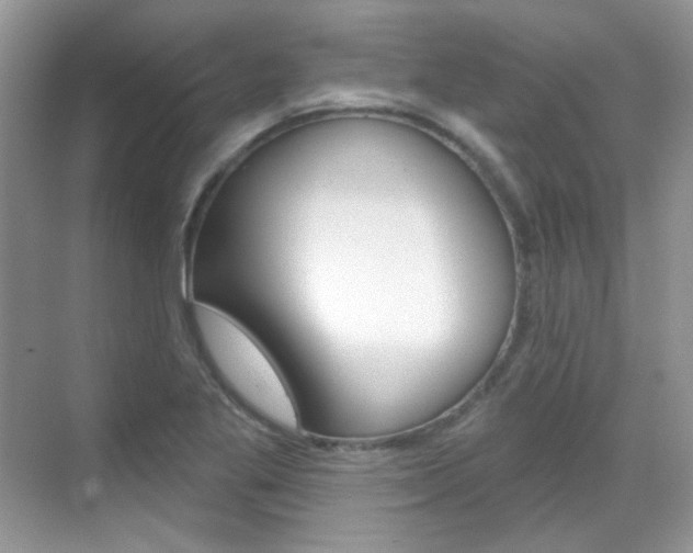 X0000069401269200605121014