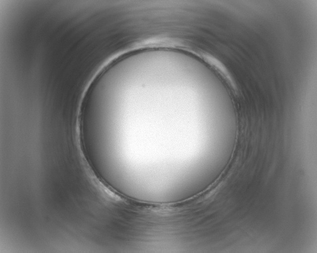 X0000069401288200605121013