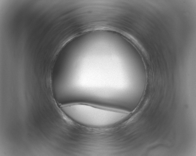 X0000069401289200605121013