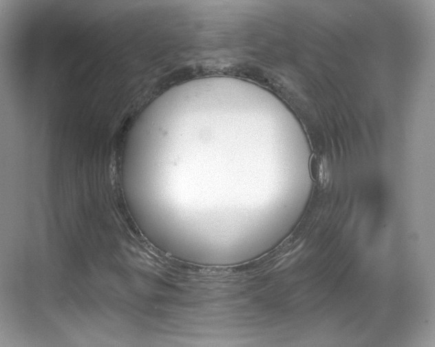 X0000069401299200605121013