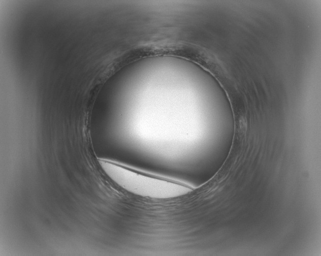 X0000069401300200605121013