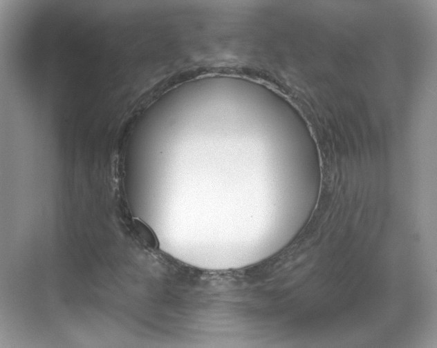 X0000069401301200605121013