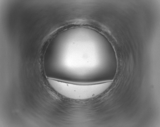 X0000069401304200605121013