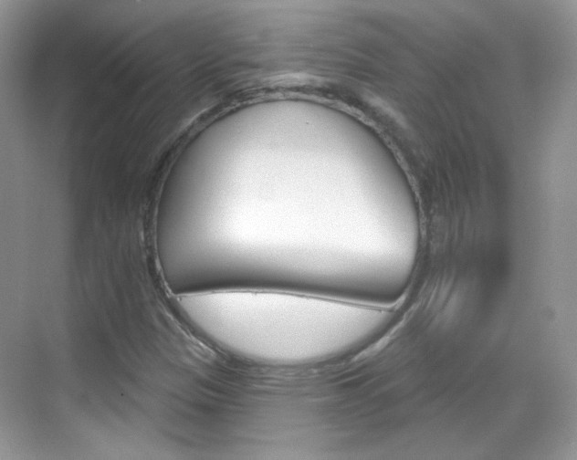 X0000069401305200605121013
