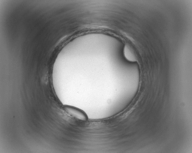 X0000069401306200605121013