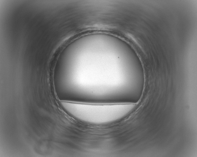 X0000069401307200605121013
