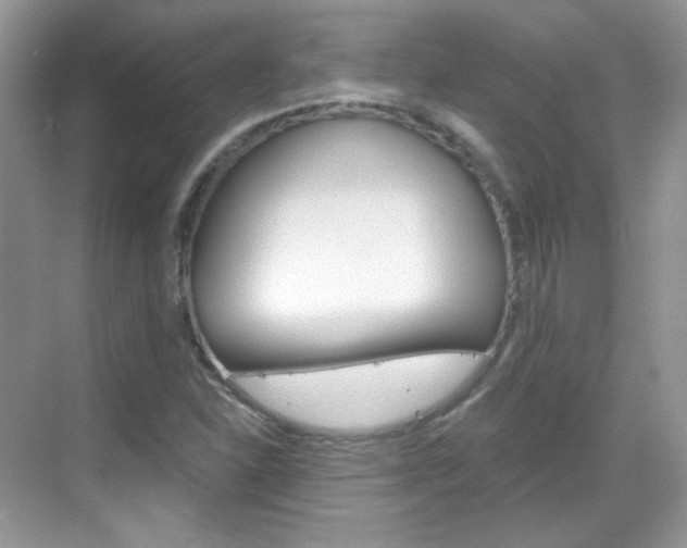 X0000069401310200605121013