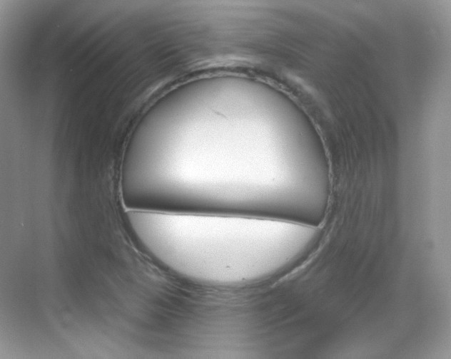 X0000069401313200605121013