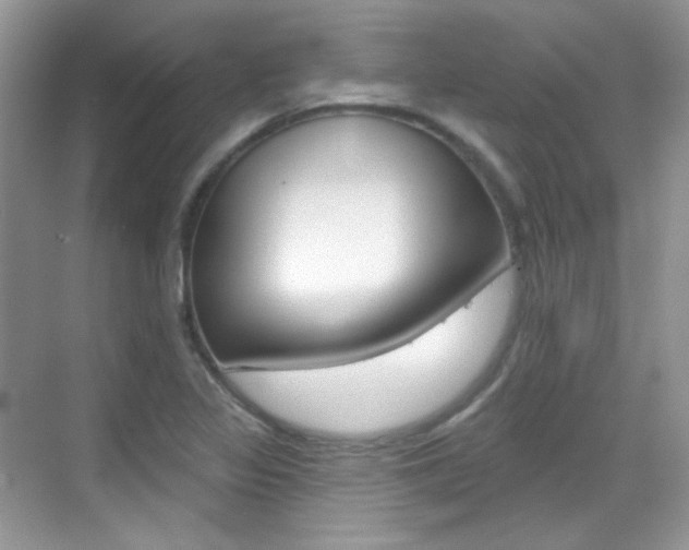 X0000069401317200605121013
