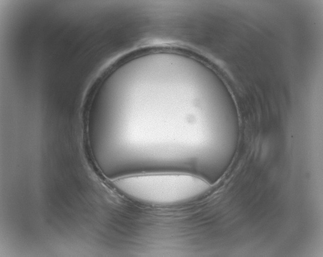 X0000069401319200605121013