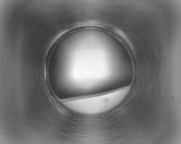 X0000069401320200605121013