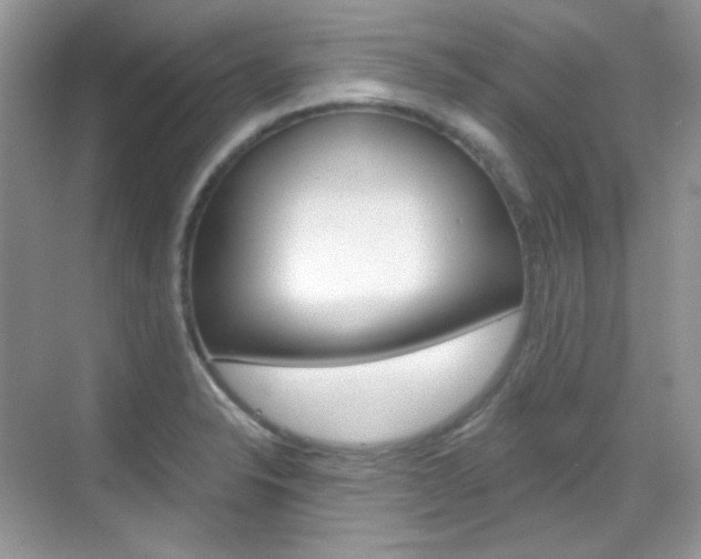 X0000069401326200605121013