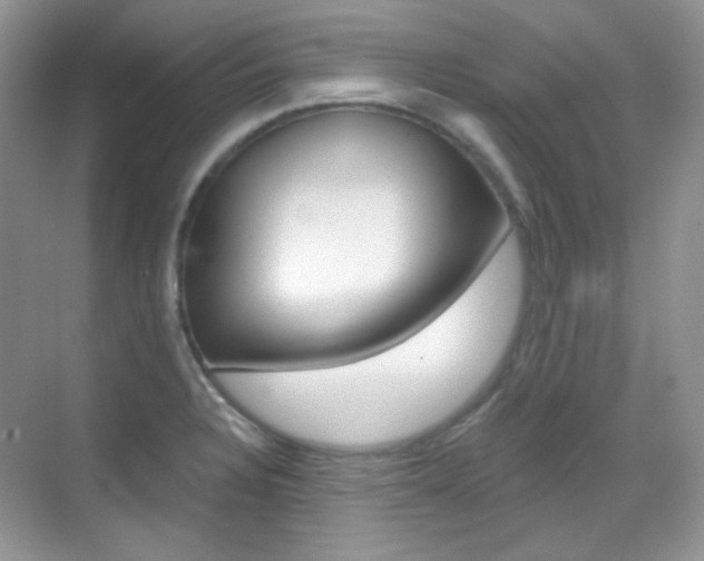 X0000069401328200605121013