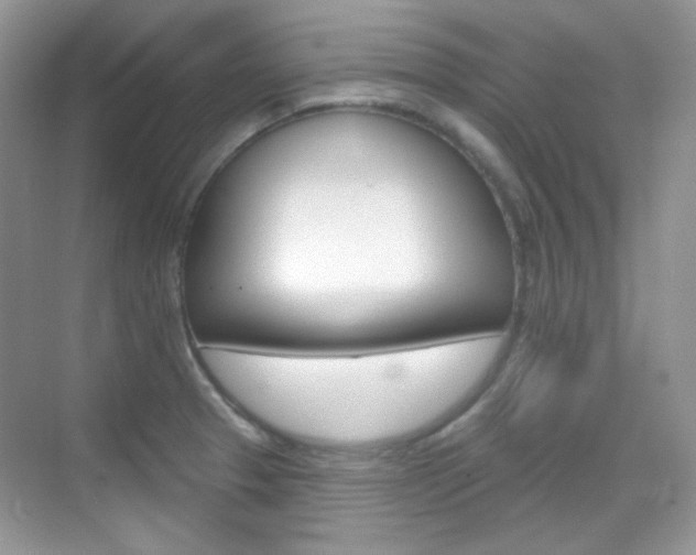 X0000069401329200605121013