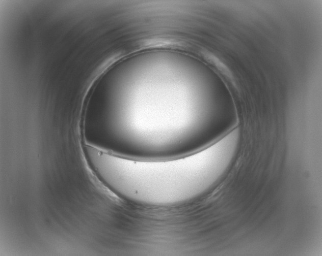 X0000069401330200605121013