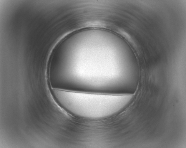 X0000069401331200605121013