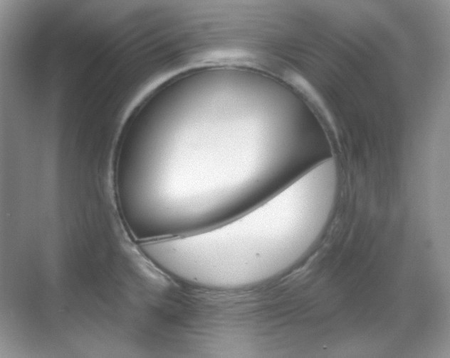 X0000069401336200605121013