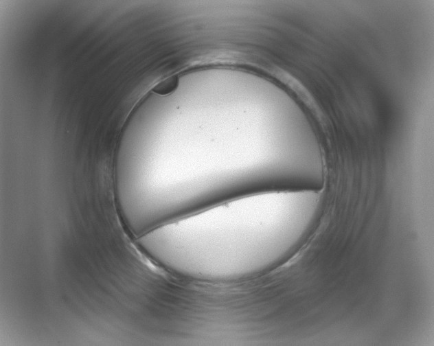 X0000069401337200605121013