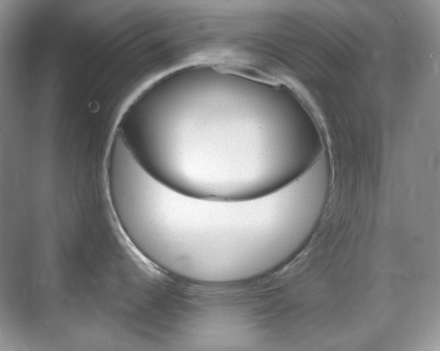 X0000069401344200605121013