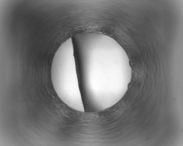 X0000069401346200605121012