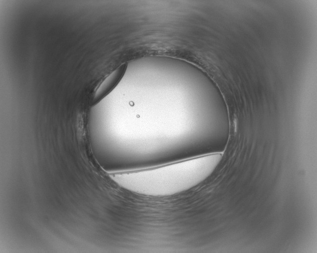 X0000069401347200605121012