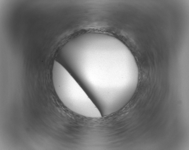 X0000069401350200605121012