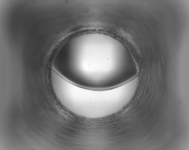 X0000069401352200605121012